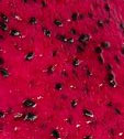 pink dragon fruit flesh with seeds